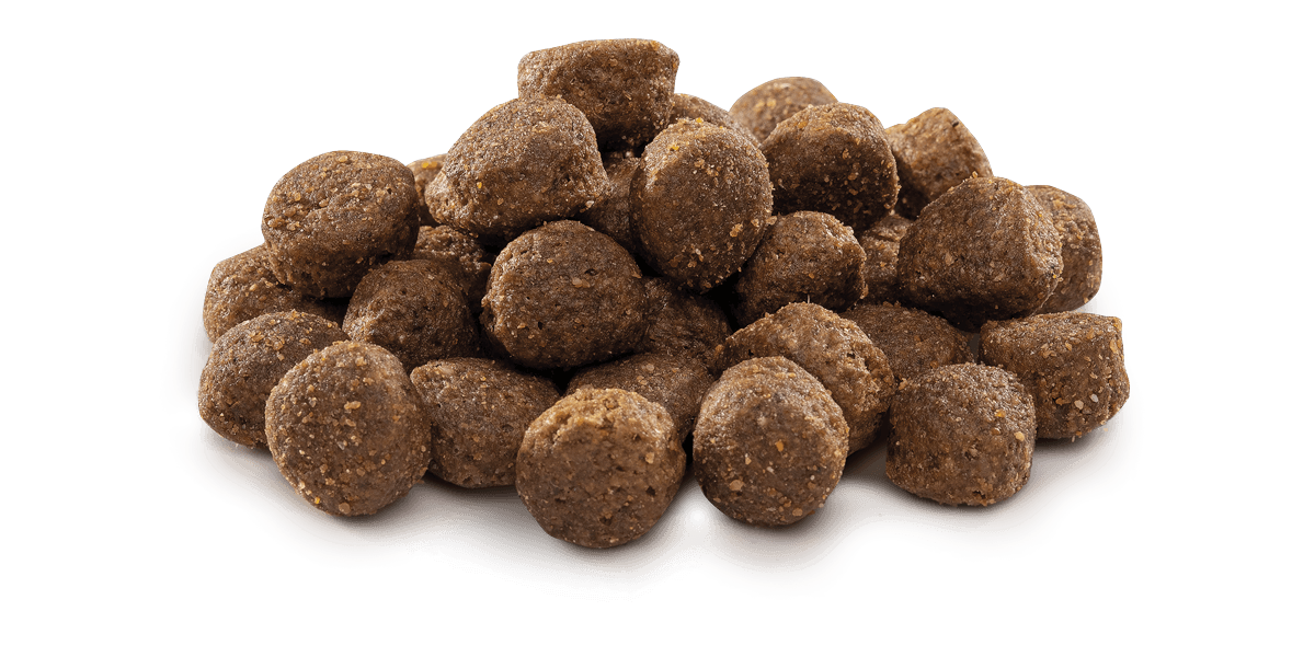 Brit Premium By Nature Orta Irk Yetişkin Köpekler İçin, Tavuk Etli Kuru Mama 15 kg