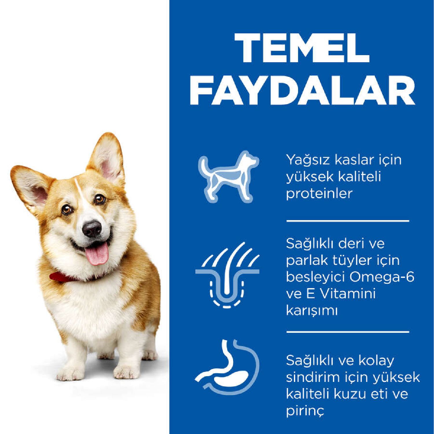 Hill's SP Kuzulu ve Pirinçli Küçük ve Mini Irk Yetişkin Köpek Maması 1,5KG