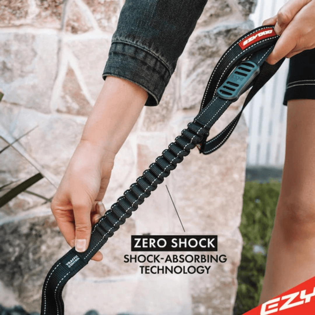Leash Zero Shock Black (122cm)