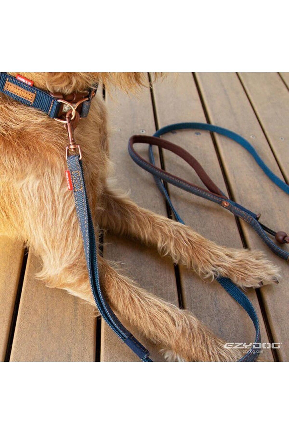 Soft Trainer Leash