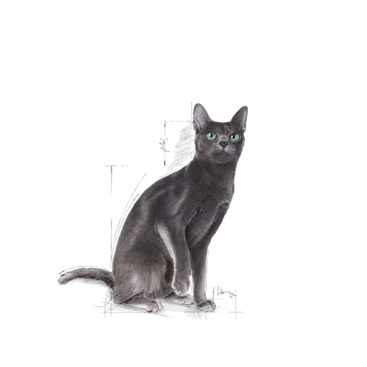 Royal Canin Sterilised 37 Kısırlaştırılmış Kediler için Kuru Kedi Maması 15kg