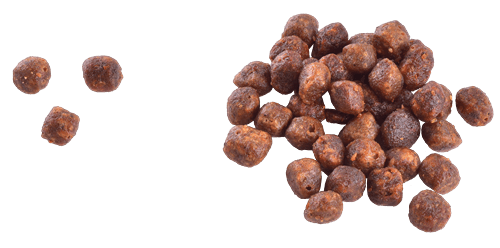 Brit Care Yavru Kediler, Hamile Veya Emziren Kediler İçin, Tahılsız, Hipoalerjenik, Taze Tavuk Ve Hindi Etli Kuru Mama 2 kg