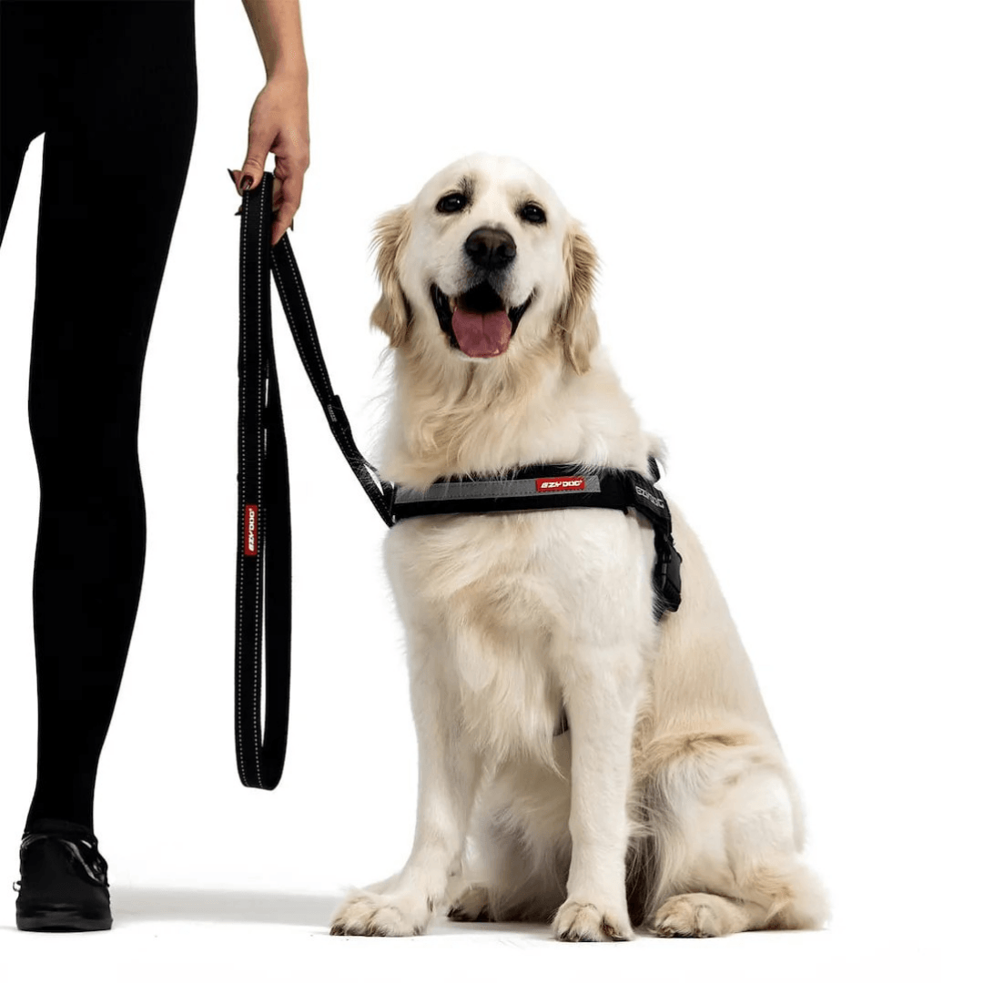 EzyDog Soft Trainer Yumusak Köpek Gezdirme Kayisi180Cm Kırmızı