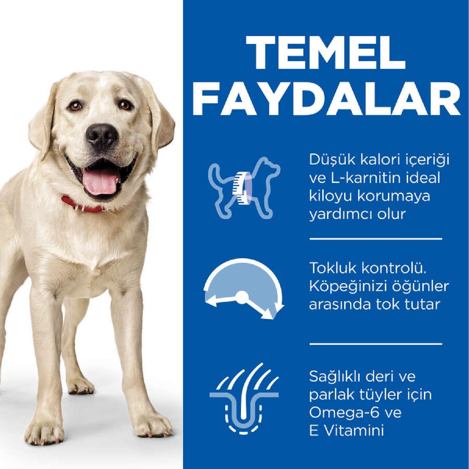Hill's SP Light Tavuklu Büyük Irk Yetişkin Köpek Maması 14KG