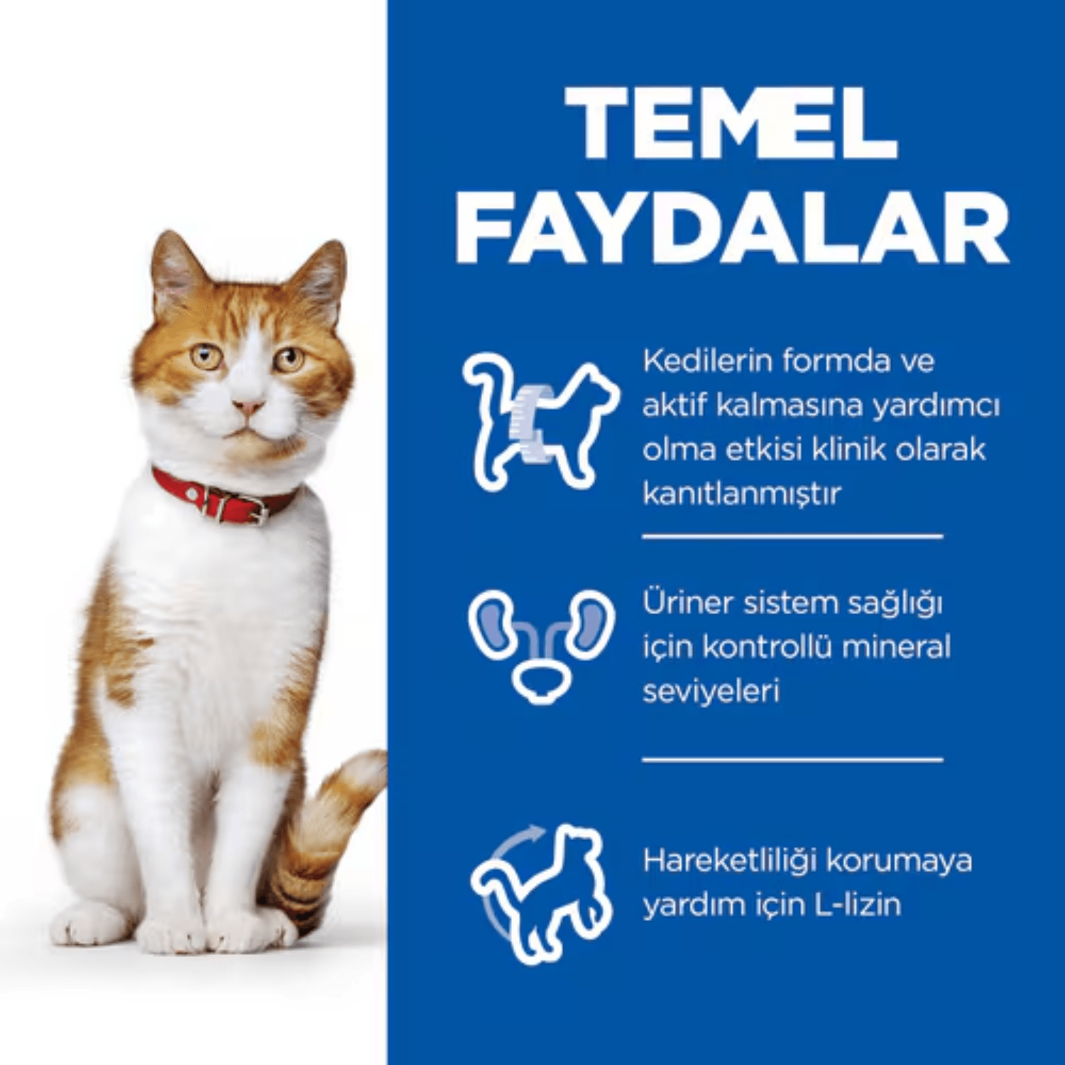 Hill's SP Ördekli Kısırlaştırılmış Yetişkin Kedi Maması 10KG
