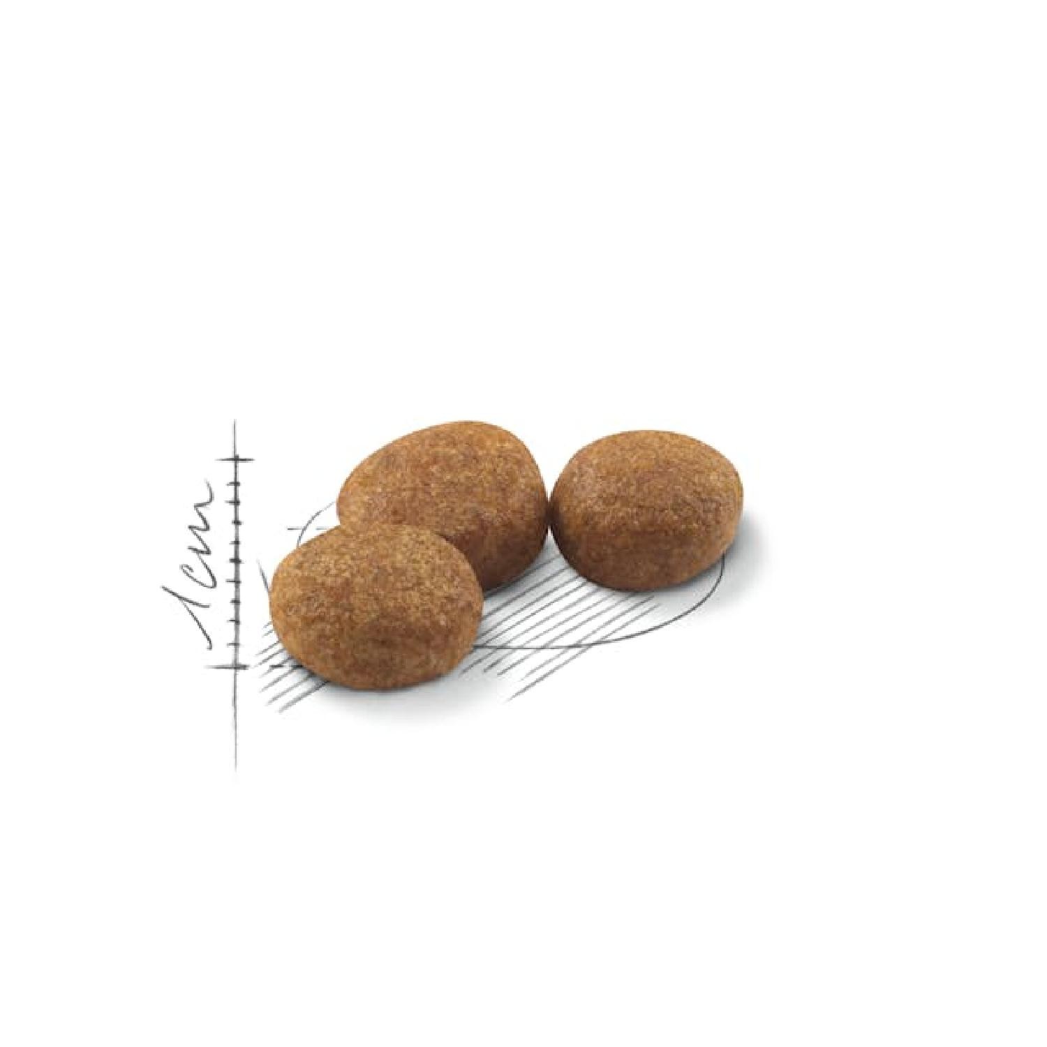 Royal Canin Sterilised 37 Kısırlaştırılmış Kediler için Kuru Kedi Maması 15kg