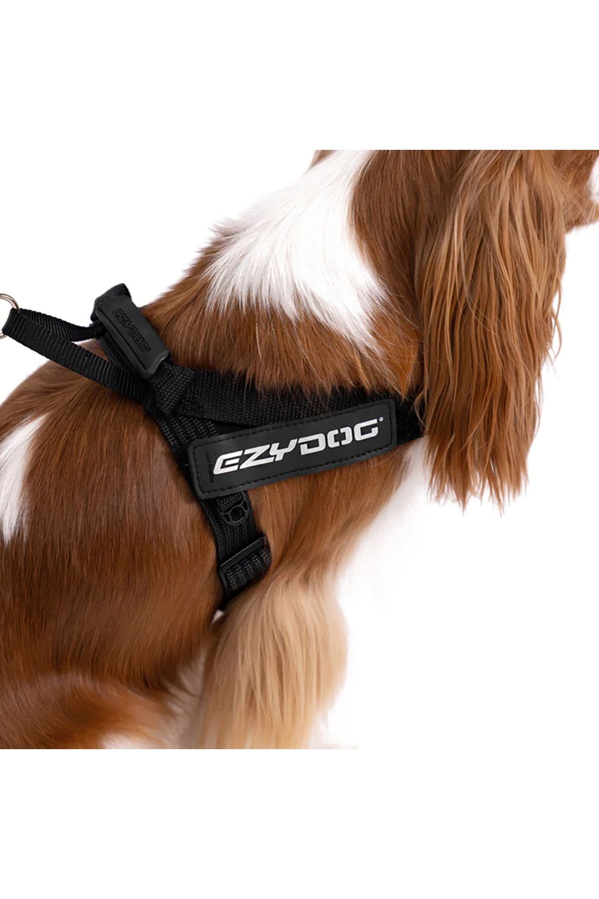 Express Harness