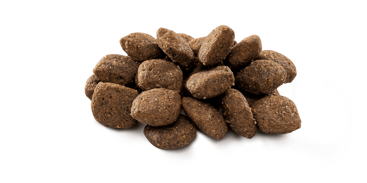 Brit Premium By Nature Hassas Sindirime Sahip Köpekler İçin, Kuzu Etli Kuru Mama 15 kg