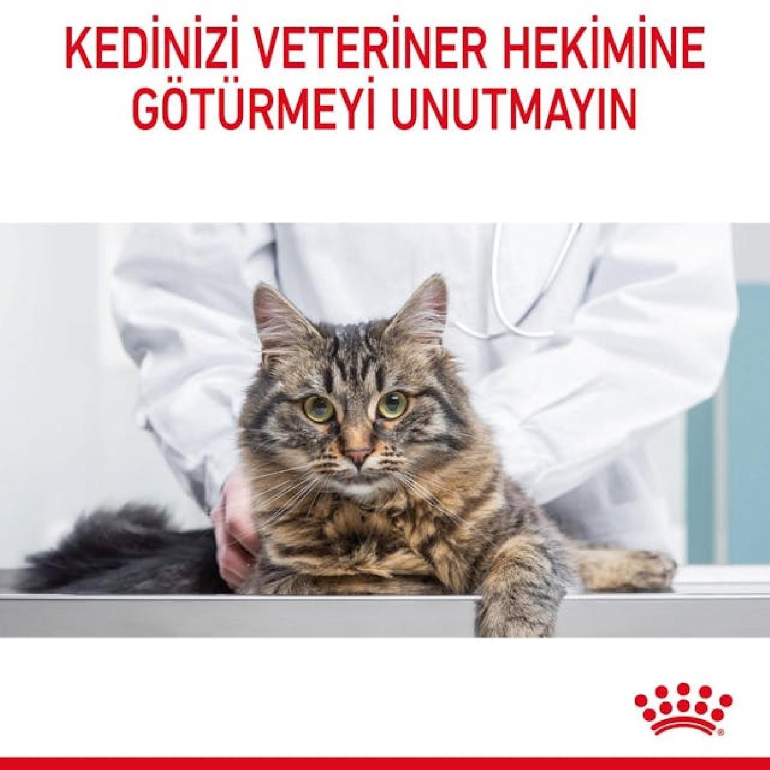 Royal Canin Hairball Tüy Yumağı Oluşumunun Azaltılması için Kuru Kedi Maması 2kg