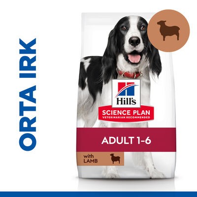 Hill's SP Kuzulu ve Pirinçli Orta Irk Yetişkin Köpek Maması 2.5KG