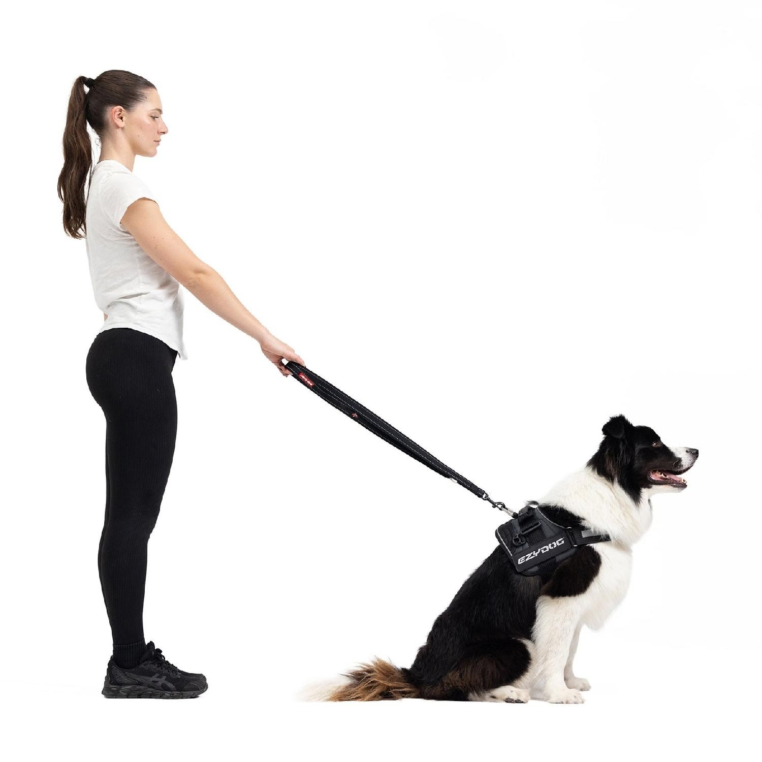 Ezydog Vario 4 Lite Çok Yönlü Köpek Gezdirme Kayışı - Siyah