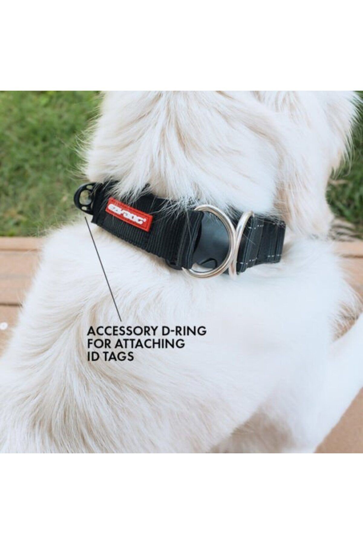 Double Up Collar - Mavi