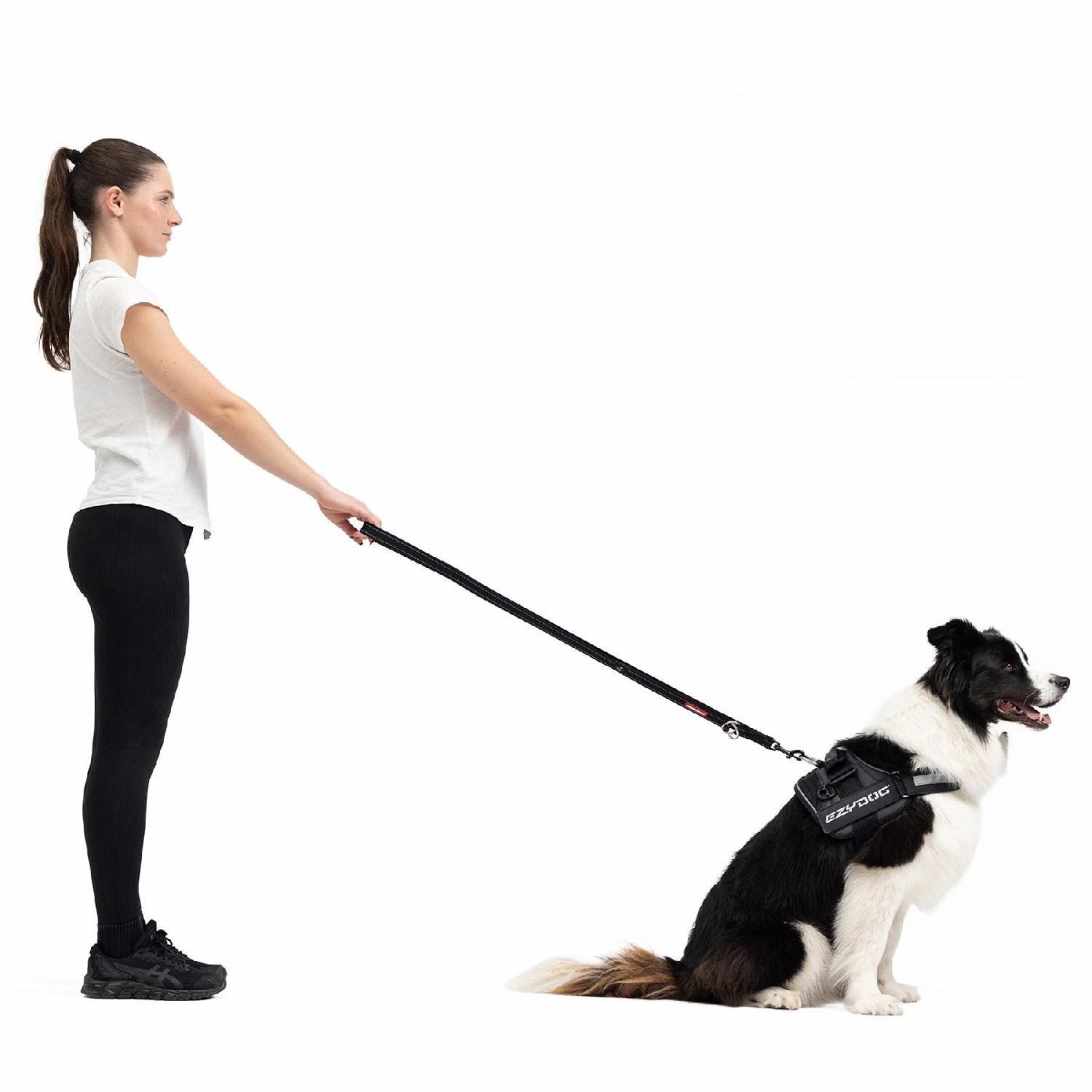 Ezydog Vario 4 Lite Çok Yönlü Köpek Gezdirme Kayışı - Siyah