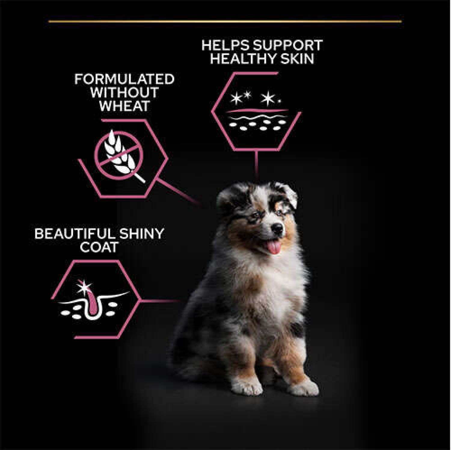 PRO PLAN MEDIUM PUPPYStveSkinSmn12kg