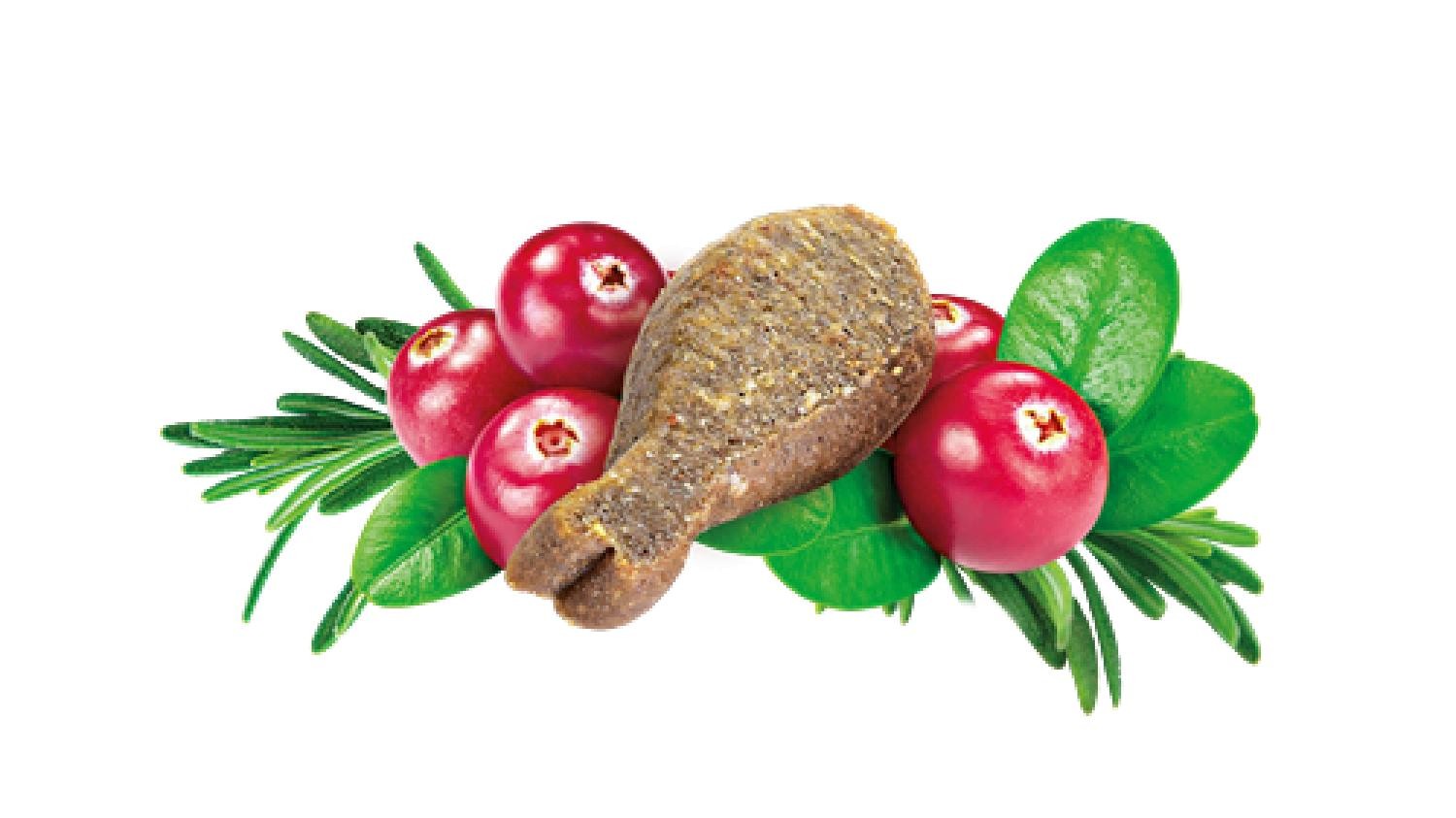 Brit Care İdrar Yolu Problemlerini Düzenlemek İçin, Tahılsız, Fonksiyonel Kedi Ödülü 50 gr