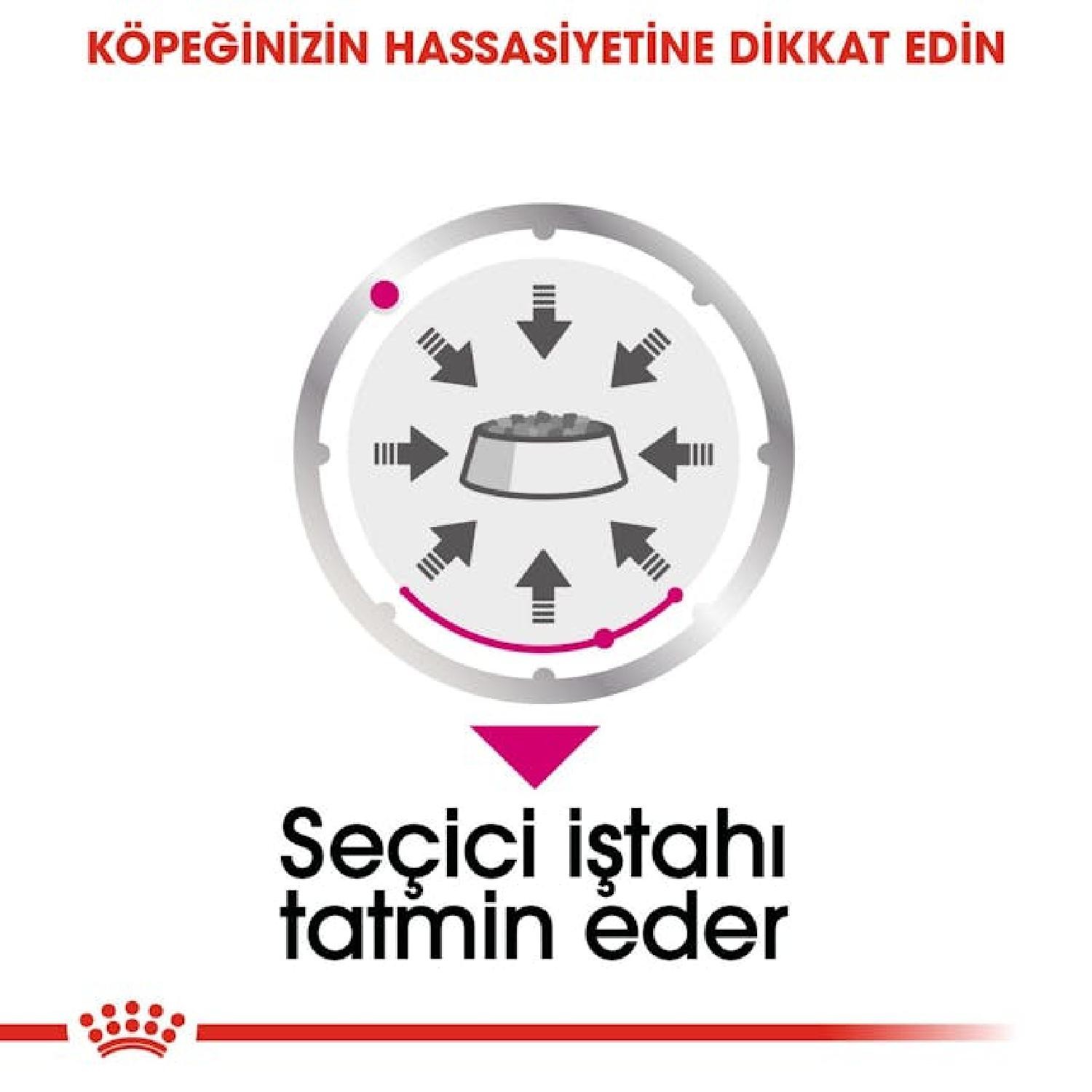 Royal Canin Exigent Seçici Köpekler için Yaş Köpek Maması 85g