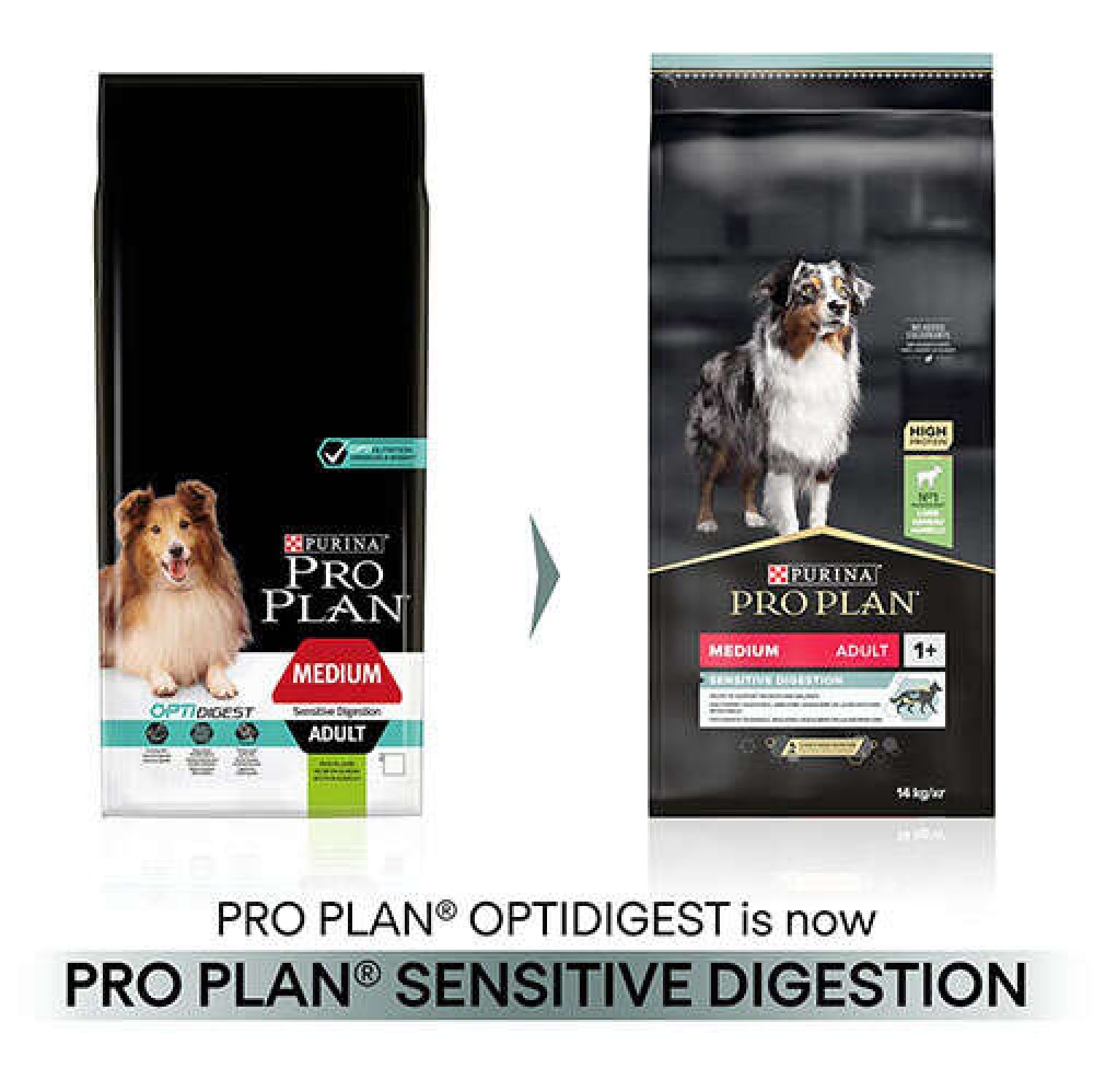 Pro Plan Sensitive Digestion Kuzulu ve Pirinçli Yetişkin Köpek Maması 14kg