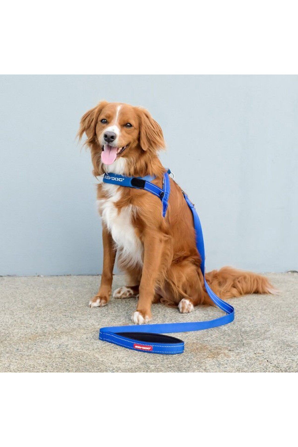Quick Fit Harness - Mavi