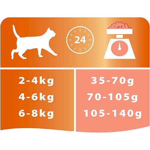 PRO PLAN Derma Care Cat Salmon 10kg