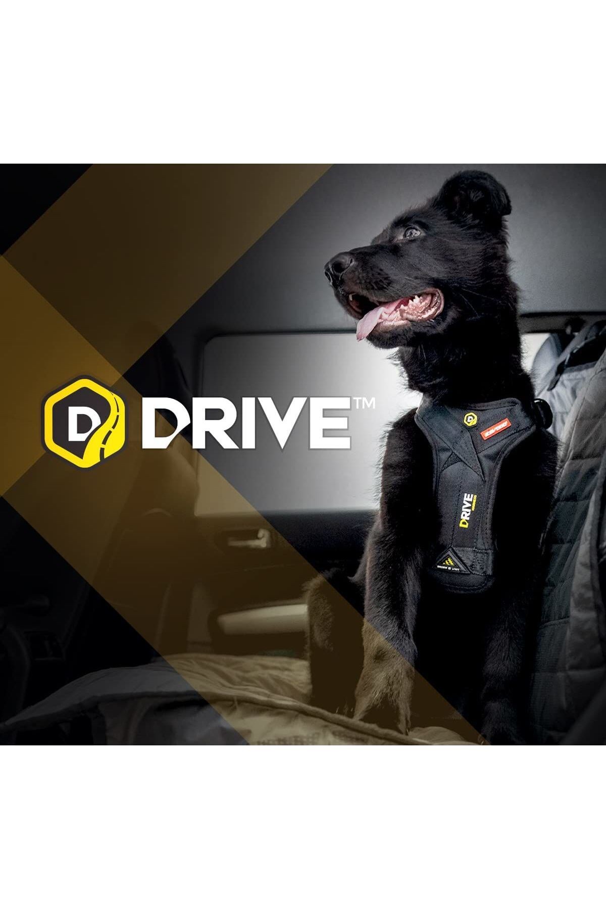 Drive Car Harness