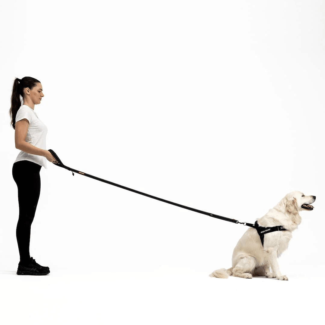 EzyDog Soft Trainer Yumusak Köpek Gezdirme Kayisi180Cm Kırmızı