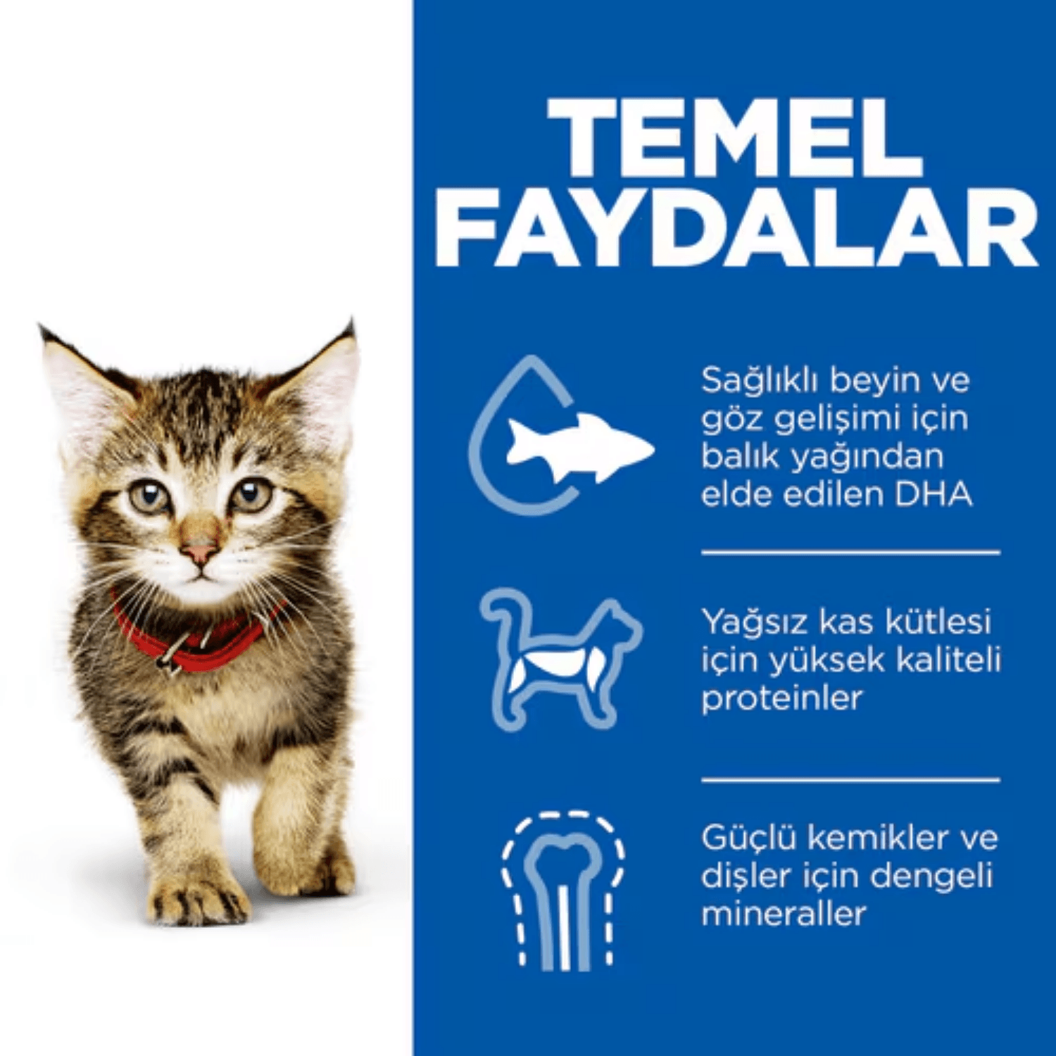 Hill's SP Ton Balıklı Yavru Kedi Maması 1.5KG