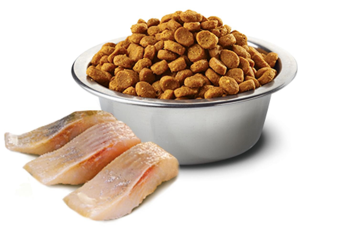 N&D OCEAN CAT HERRING & ORANGE NEUTERED ADULT 5 KG