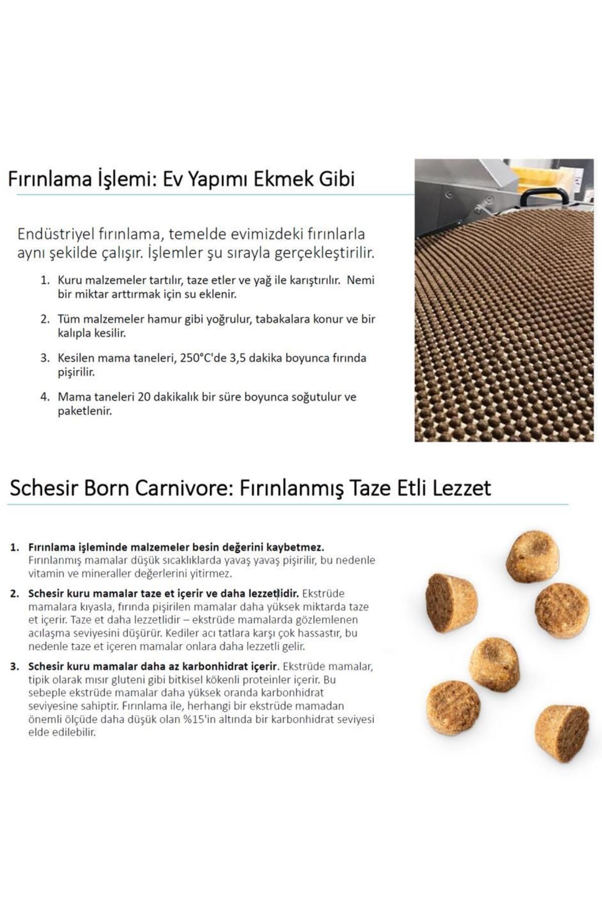 Born Carnivore Tavuklu Somonlu ve Ringa Balıklı Tahılsız Kedi Maması 1,25 Kg