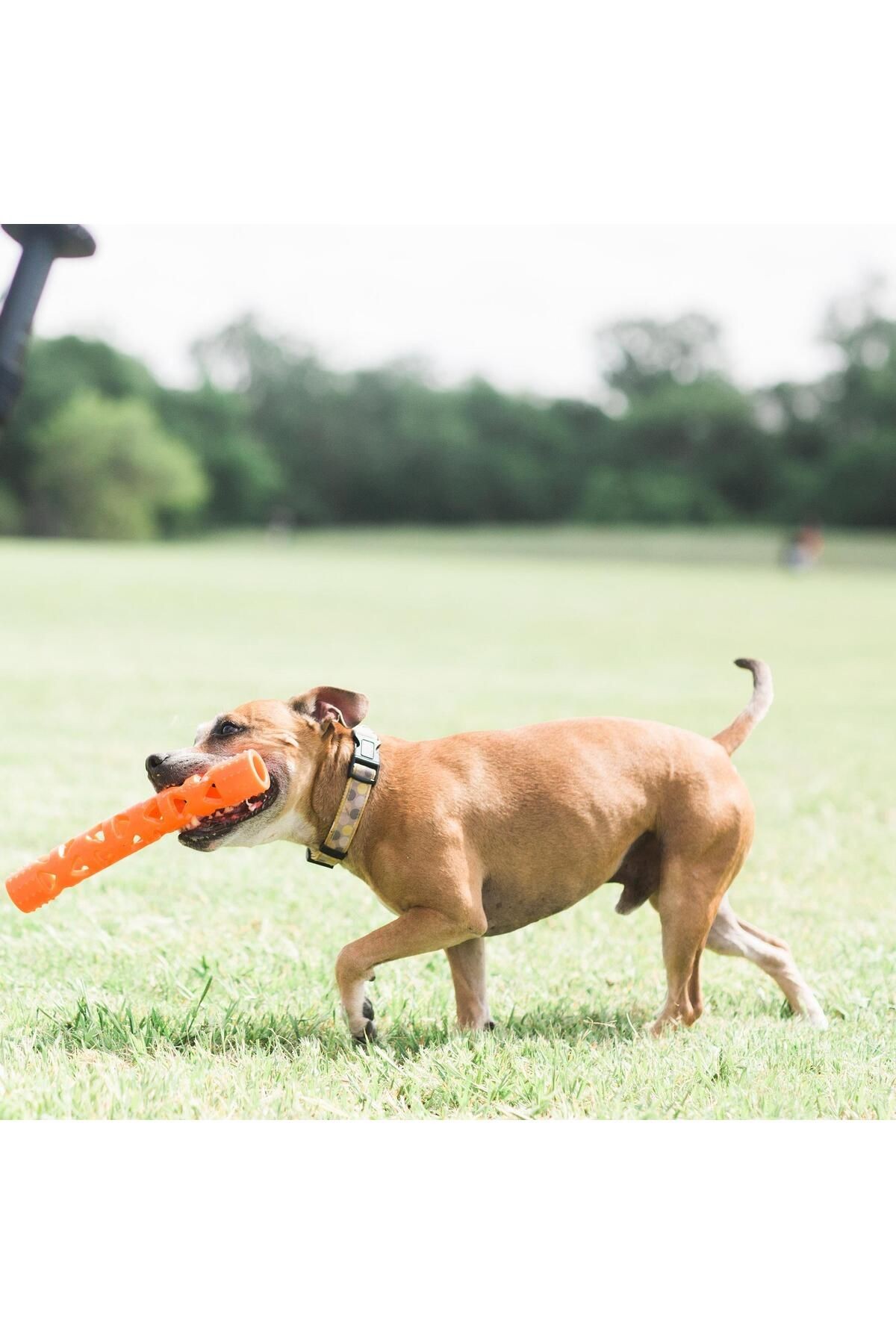 ! Air Fetch Stick Köpek Oyuncağı (BÜYÜK BOY)