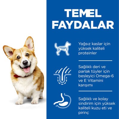 Hill's SP Kuzulu ve Pirinçli Küçük ve Mini Irk Yetişkin Köpek Maması 5+1KG