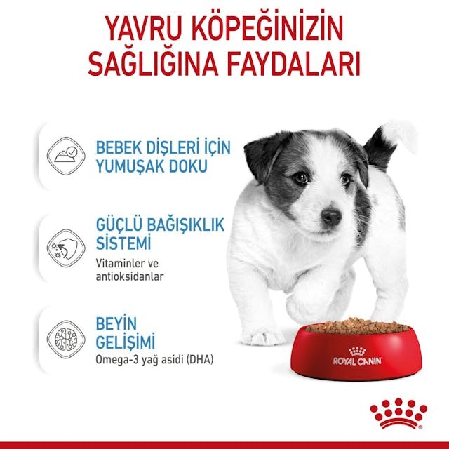 Royal Canin Küçük Irklar için Yavru Yaş Köpek Maması 85g