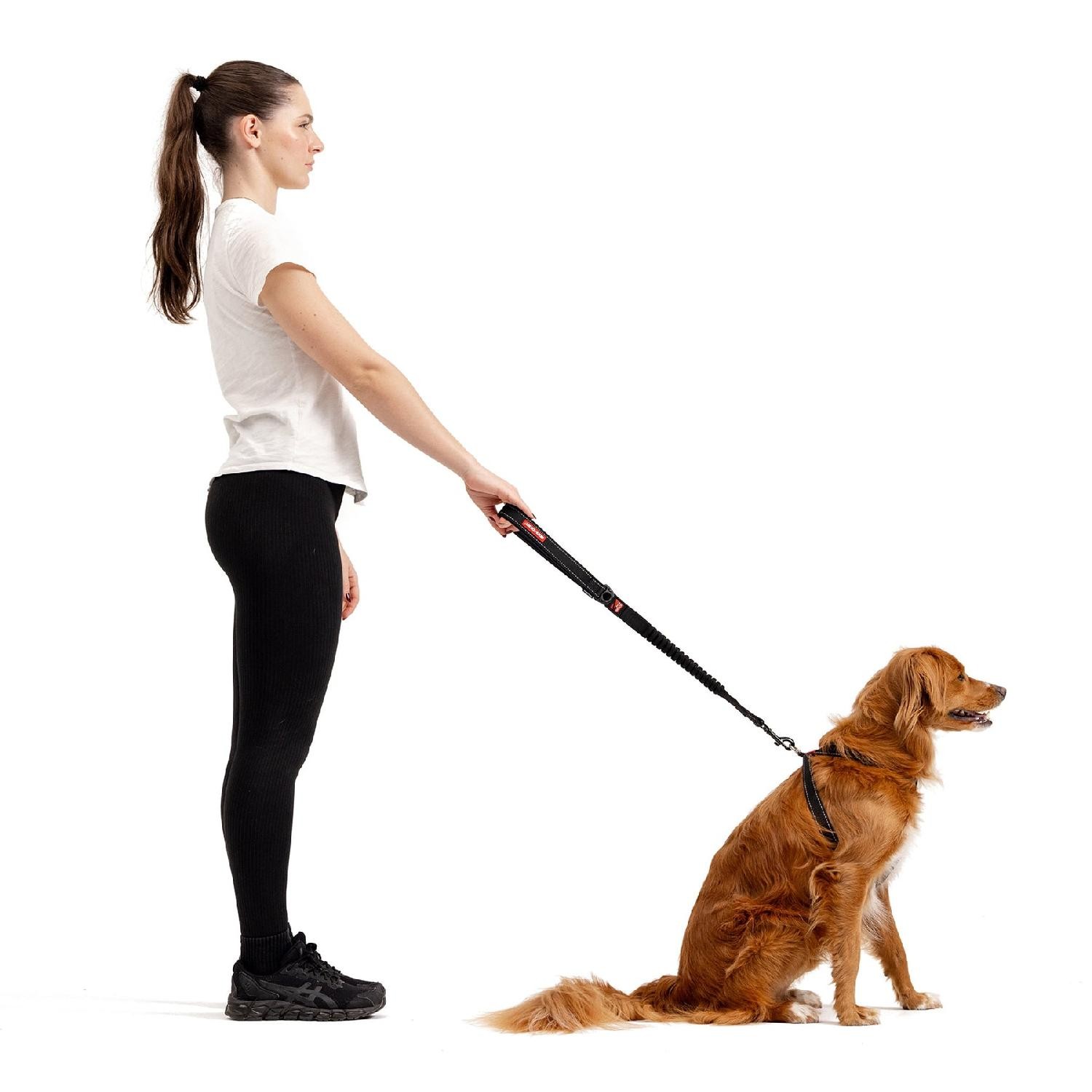 Ezydog Zero Shock 40 Şok Absorbe Edici Köpek Kayışı - Kırmızı