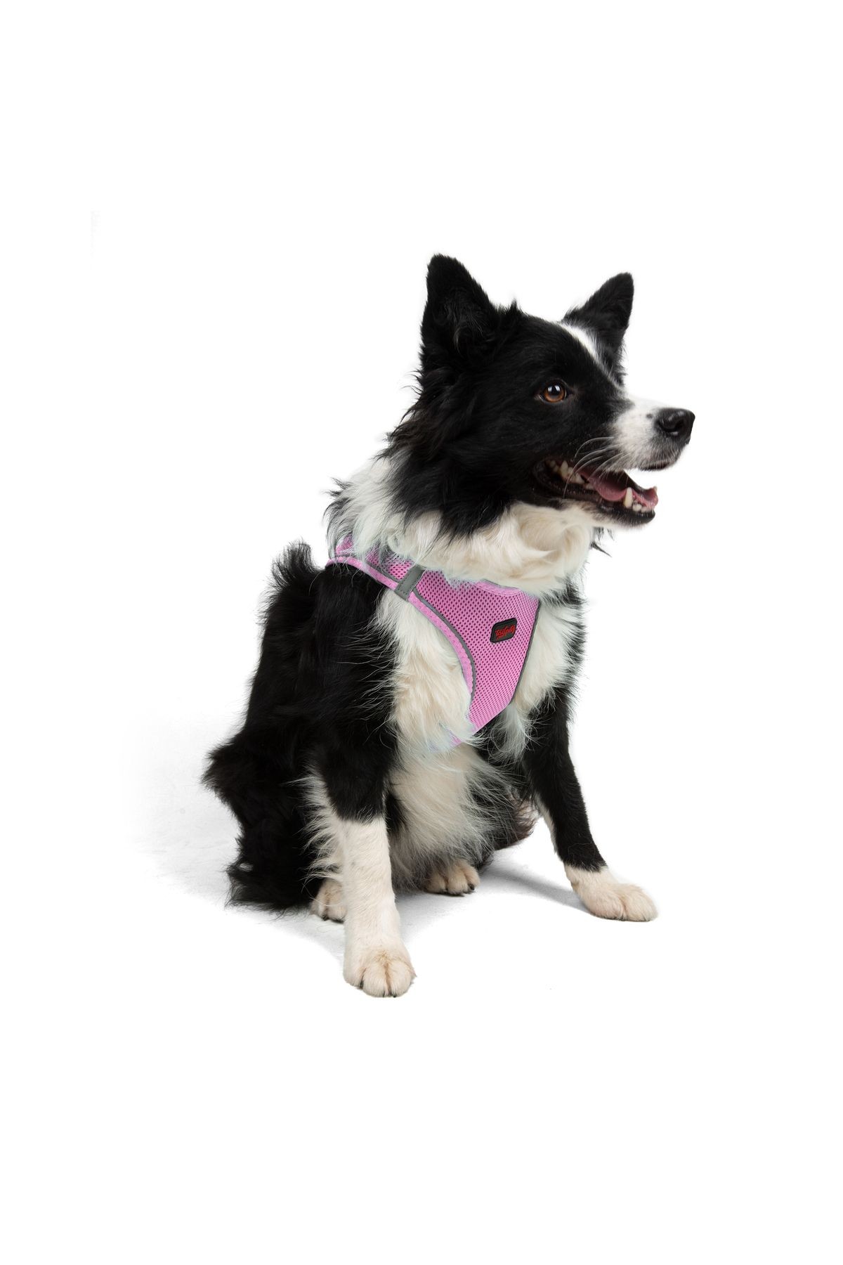 Air-Mesh Küçük ve Orta Irk Kedi Köpek Göğüs Tasması Yumuşak,Nefes Alabilir, Dayanıklı