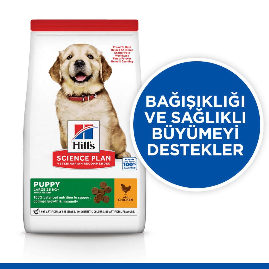 Hill's SP Tavuklu Büyük Irk Yavru Köpek Maması 2.5KG