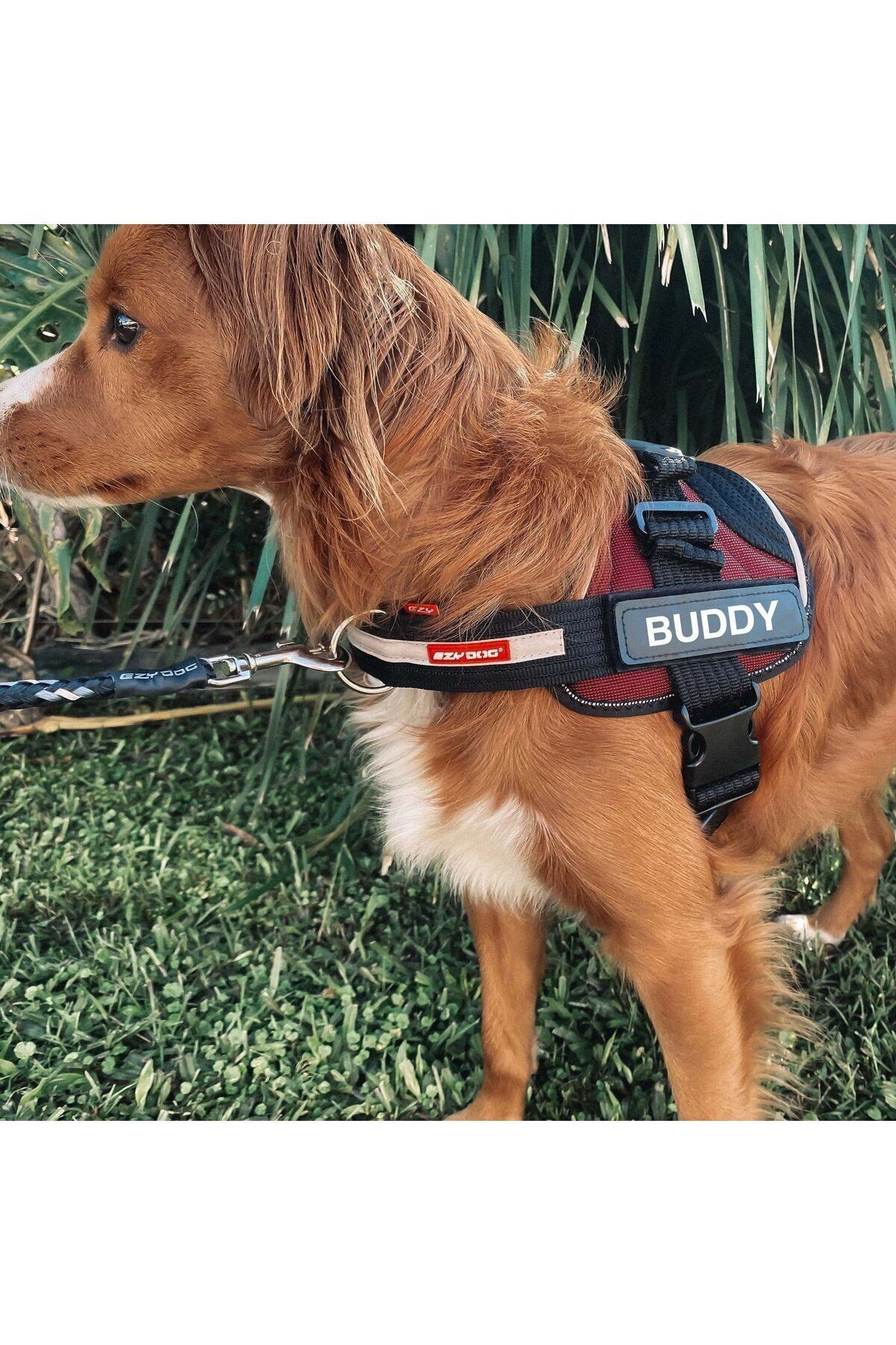 Convert Harness - Siyah