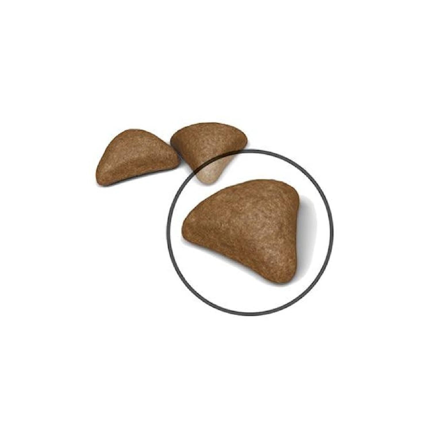 Royal Canin Hairball Tüy Yumağı Oluşumunun Azaltılması için Kuru Kedi Maması 2kg