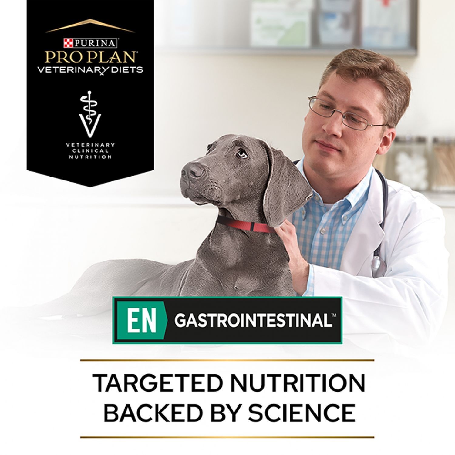 PURINA PRO PLAN VETERINARY DIETS CANINE EN Gastrointestina 400g
