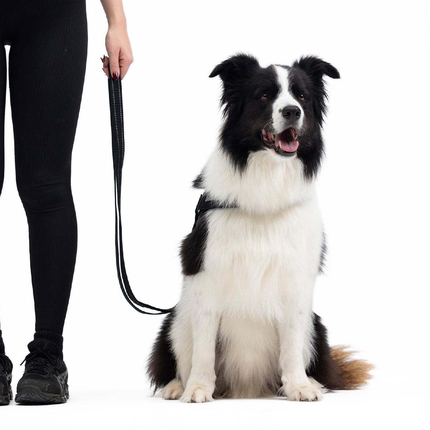 Ezydog Vario 4 Lite Çok Yönlü Köpek Gezdirme Kayışı - Siyah