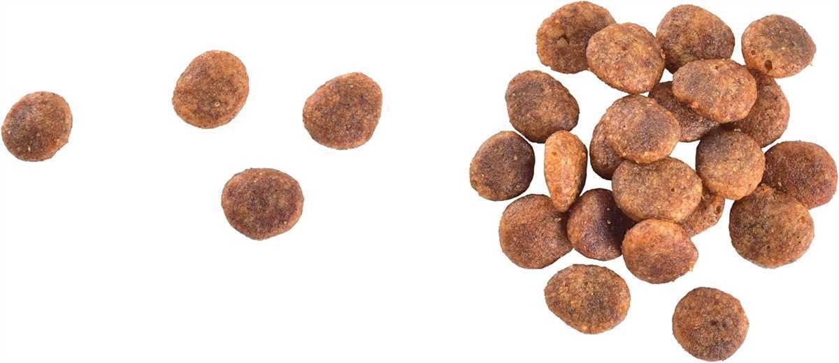 Brit Care Yetişkin Hassas Kediler İçin, Tahılsız, Hipoalerjenik, Taze Hindi Etli Ve Somonlu Kuru Mama 2 kg