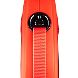 Flexi Extreme S Beden 5MT Şerit Tasma