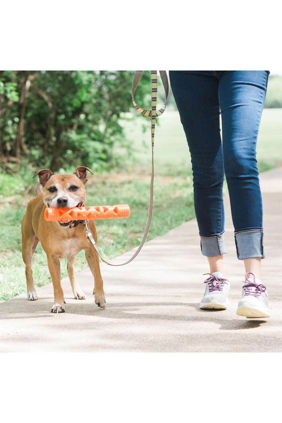 ! Air Fetch Stick Köpek Oyuncağı (BÜYÜK BOY)