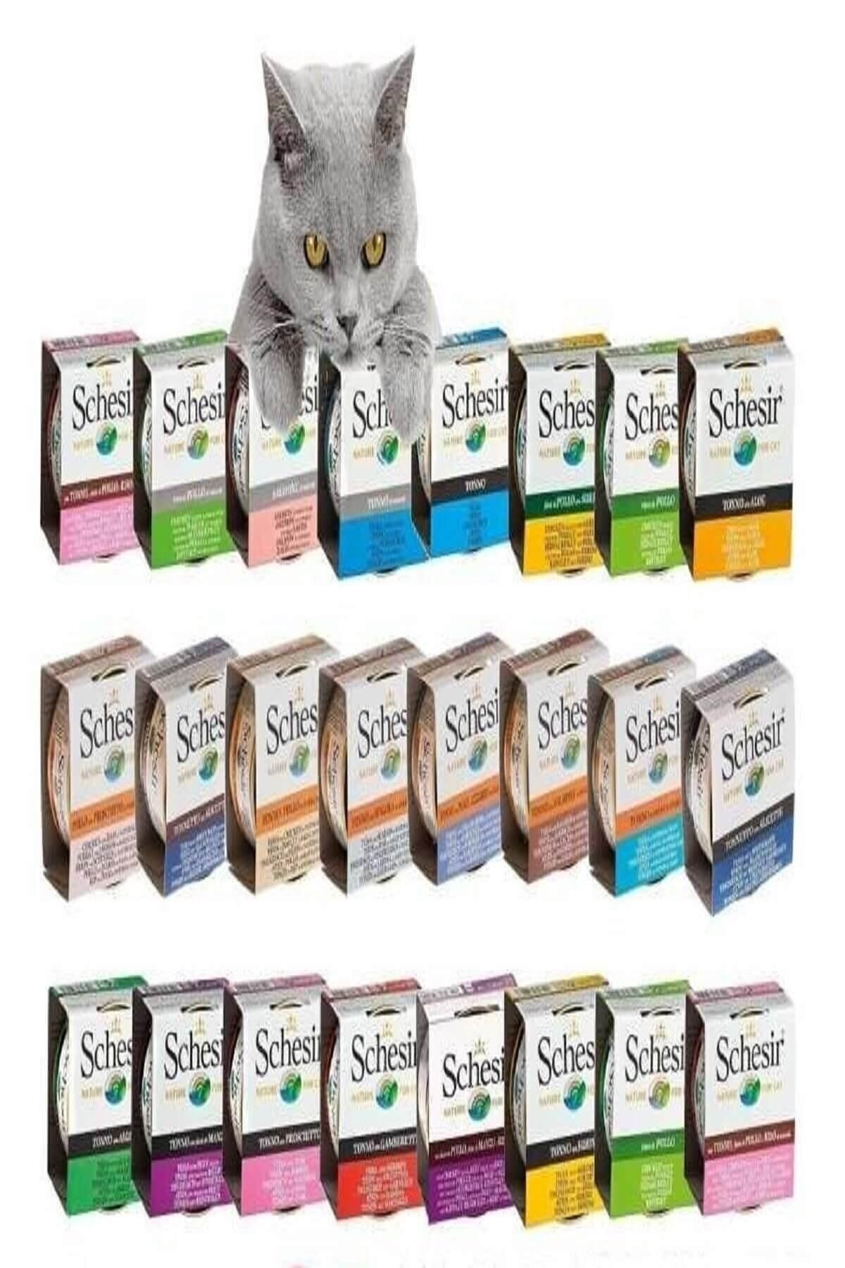 Kedi Konserve Maması (24 Adet)