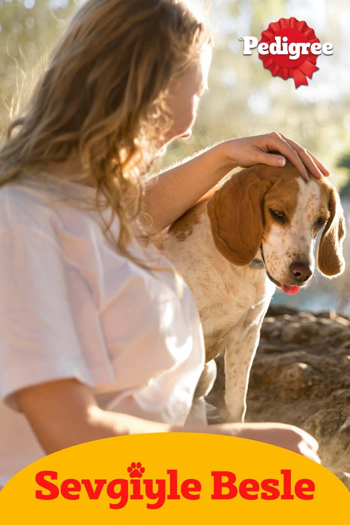 Markies Köpek Ödül Maması 150 Gx5