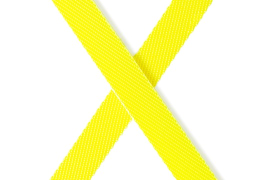 Flexi New Neon Dev Giant 8MT Şerit Tasma