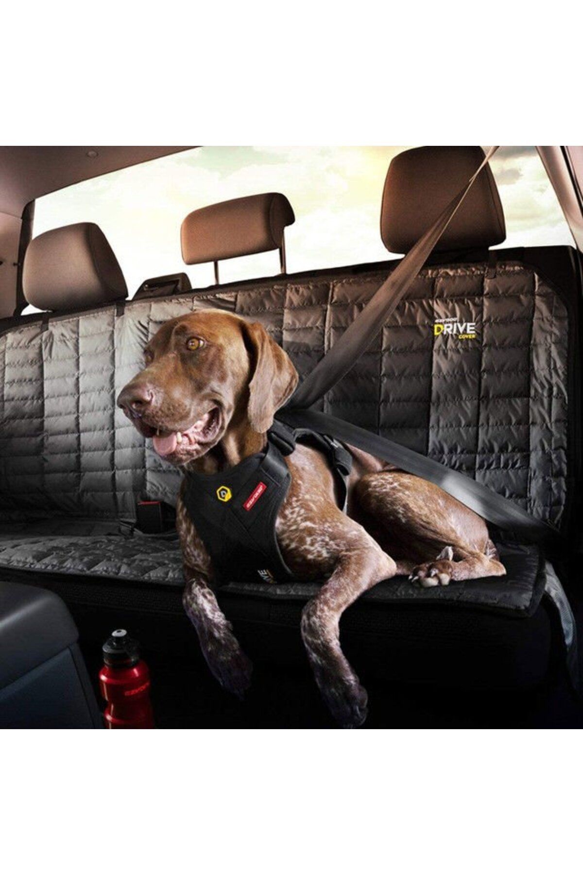 Drive Car Harness