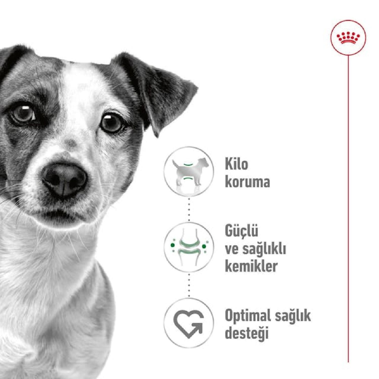 Royal Canin Küçük Irklar için Yetişkin Kuru Köpek Maması 4kg