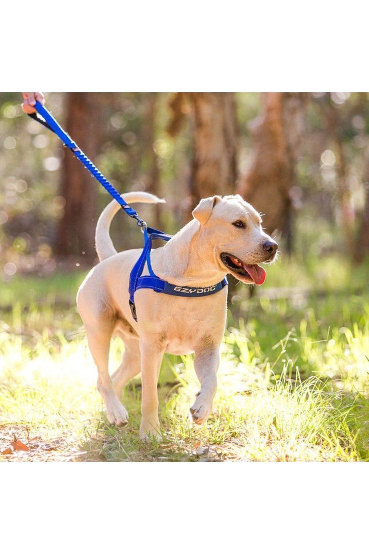 Quick Fit Harness - Mavi