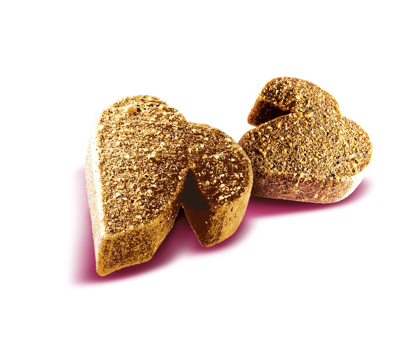 Brit Care Sağlıklı Bağışıklı Sistemi İçin, Tahılsız, Larva Ve Zencefilli, Fonksiyonel Yetişkin Köpek Ödülü 150 gr
