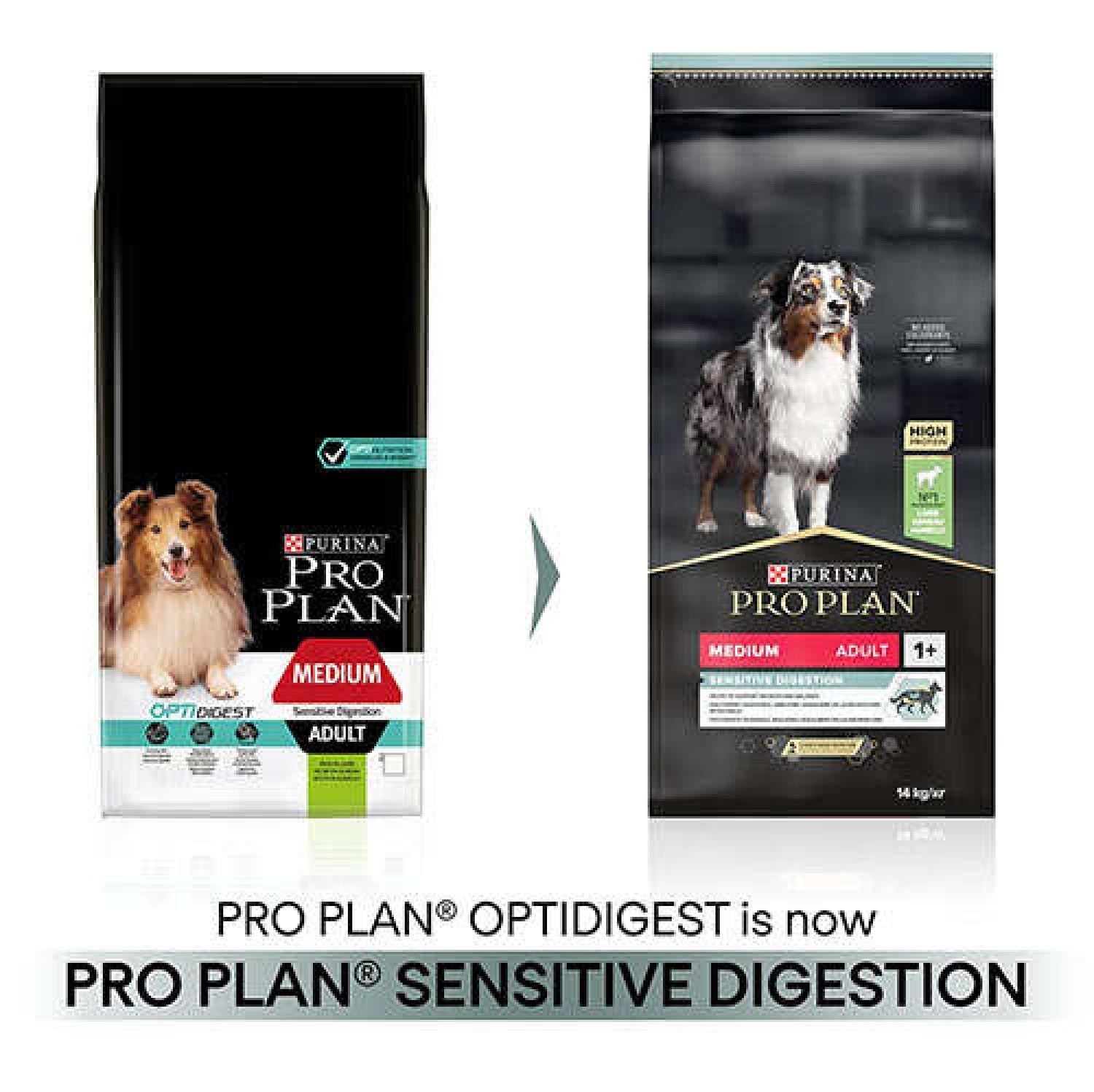 Pro Plan Sensitive Digestion Kuzulu ve Pirinçli Yetişkin Köpek Maması 14kg
