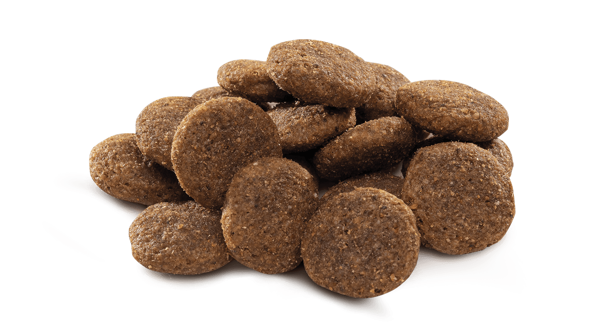 Brit Premium By Nature Büyük Irk Yetişkin Köpekler İçin, Tavuk Etli Kuru Mama 15 kg